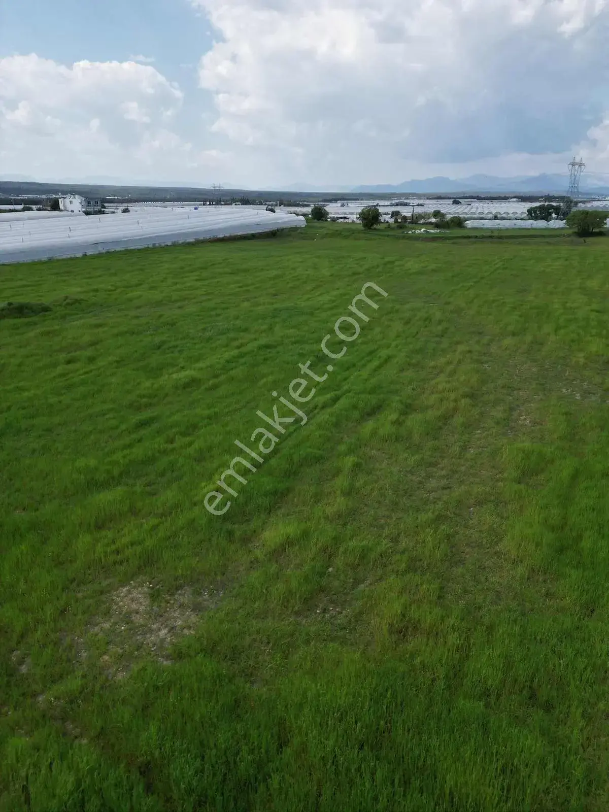 Ayşe Duvar'dan Kurşunluda 18.669 M² Satılık Tarım Arazisi — görsel 2