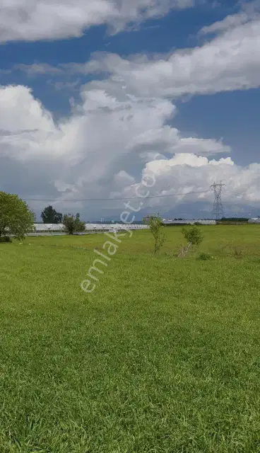 Ayşe Duvar'dan Kurşunluda 18.669 M² Satılık Tarım Arazisi — görsel 3