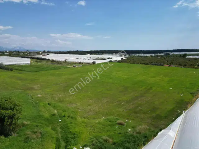 Ayşe Duvar'dan Kurşunluda 18.669 M² Satılık Tarım Arazisi — görsel 13
