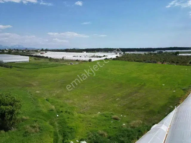 Ayşe Duvar'dan Kurşunluda 18.669 M² Satılık Tarım Arazisi — görsel 14