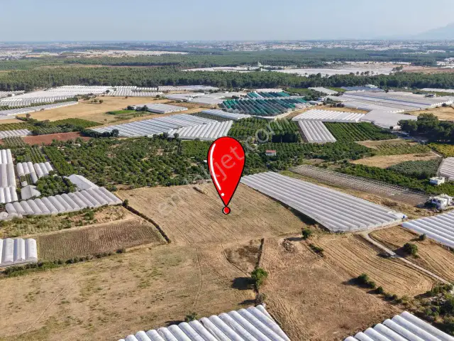 Ayşe Duvar'dan Kurşunluda 18.669 M² Satılık Tarım Arazisi — görsel 16