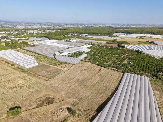 Ayşe Duvar'dan Kurşunluda 18.669 M² Satılık Tarım Arazisi — görsel 17