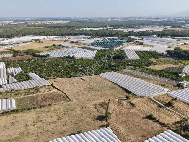 Ayşe Duvar'dan Kurşunluda 18.669 M² Satılık Tarım Arazisi — görsel 19