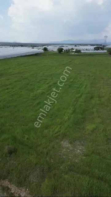 Ayşe Duvar'dan Aksu Kurşunluda 7.596 M² Yatırımlık Tarla — görsel 10
