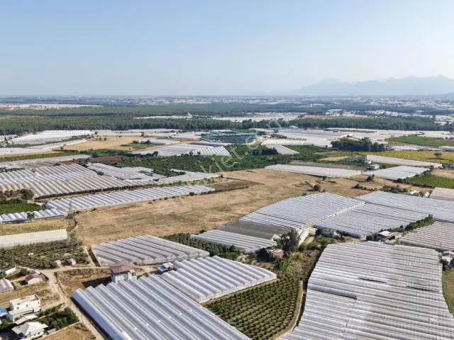 Ayşe Duvar'dan Aksu Kurşunluda 7.596 M² Yatırımlık Tarla — görsel 16