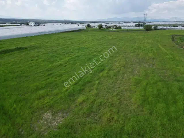 Ayşe Duvar'dan Aksu Kurşunluda 23.756 M² Dev Tarla Fırsatı — görsel 7
