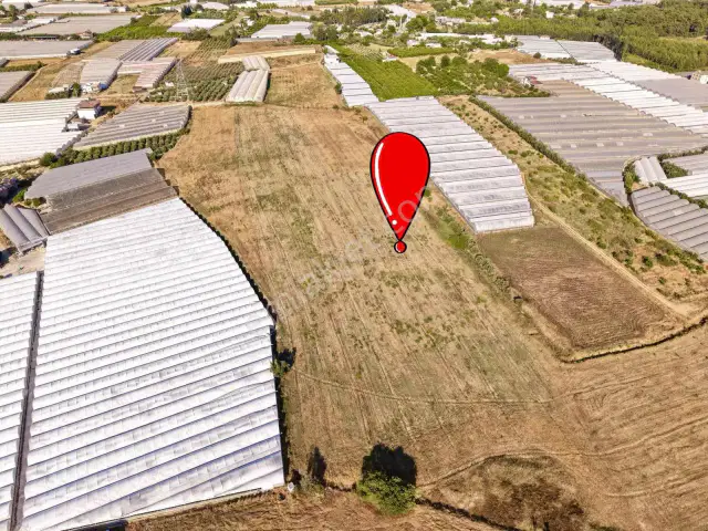 Ayşe Duvar'dan Aksu Kurşunluda 23.756 M² Dev Tarla Fırsatı — görsel 8
