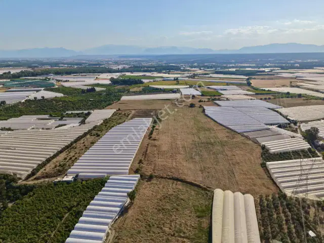Ayşe Duvar'dan Aksu Kurşunluda 23.756 M² Dev Tarla Fırsatı — görsel 9