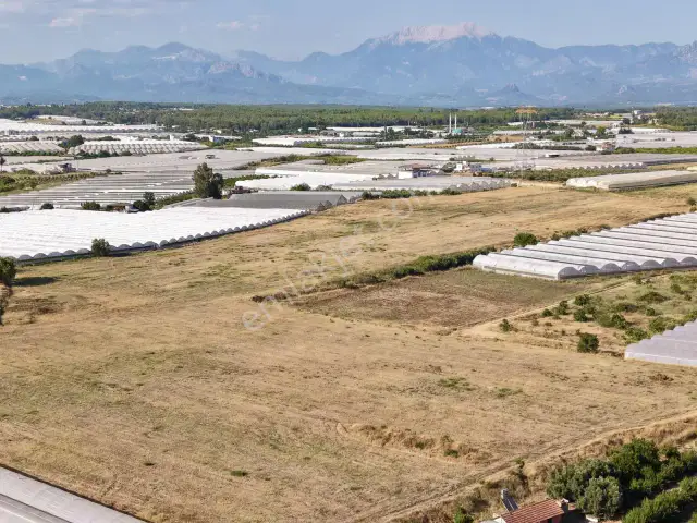 Ayşe Duvar'dan Aksu Kurşunluda 23.756 M² Dev Tarla Fırsatı — görsel 10
