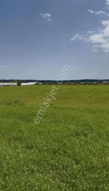Ayşe Duvar'dan Aksu Kurşunluda 23.756 M² Dev Tarla Fırsatı — görsel 16