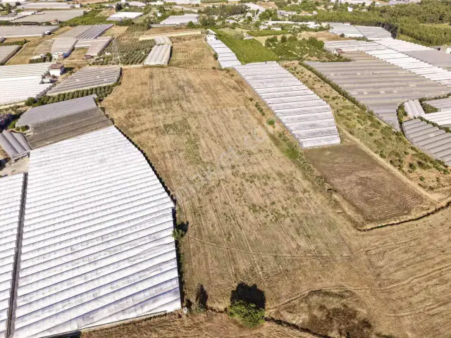 Ayşe Duvar'dan Aksu Kurşunluda 23.756 M² Dev Tarla Fırsatı — görsel 17