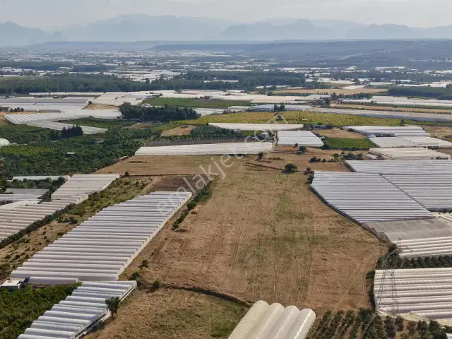 Ayşe Duvar'dan Aksu Kurşunluda 23.756 M² Dev Tarla Fırsatı — görsel 19