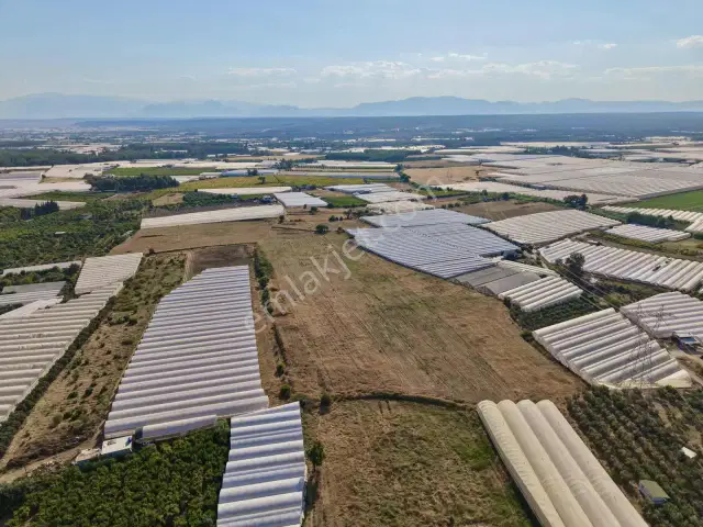 Ayşe Duvar'dan Aksu Kurşunluda 23.756 M² Dev Tarla Fırsatı — görsel 20