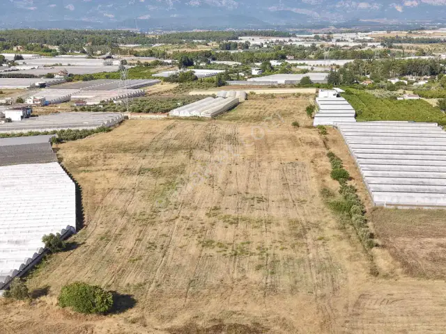 Ayşe Duvar'dan Aksu Kurşunluda 23.756 M² Dev Tarla Fırsatı — görsel 21
