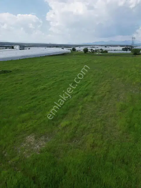Ayşe Duvar'dan Aksu Kurşunluda 23.756 M² Dev Tarla Fırsatı — görsel 22