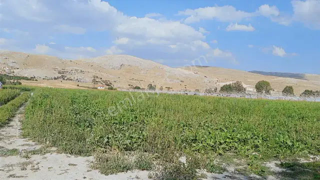 Şaka Değil Bu Bölgede 104 Dönüm Bu Fiyata — görsel 2