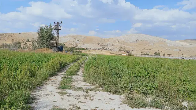 Şaka Değil Bu Bölgede 104 Dönüm Bu Fiyata — görsel 3