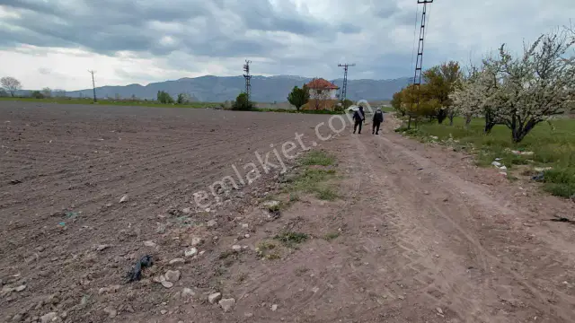 Şaka Değil Bu Bölgede 104 Dönüm Bu Fiyata — görsel 6