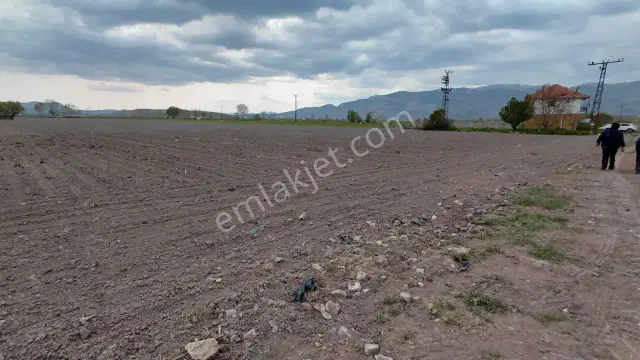 Şaka Değil Bu Bölgede 104 Dönüm Bu Fiyata — görsel 7