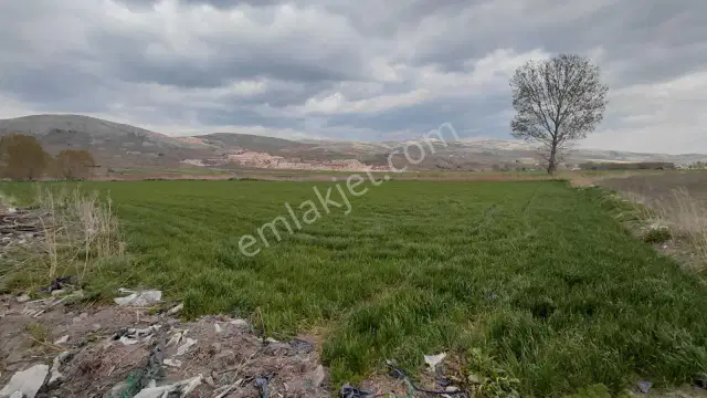 Şaka Değil Bu Bölgede 104 Dönüm Bu Fiyata — görsel 8
