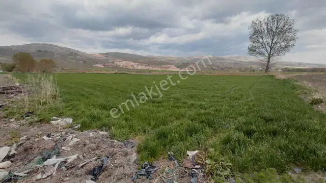 Şaka Değil Bu Bölgede 104 Dönüm Bu Fiyata — görsel 9