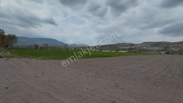 Şaka Değil Bu Bölgede 104 Dönüm Bu Fiyata — görsel 11