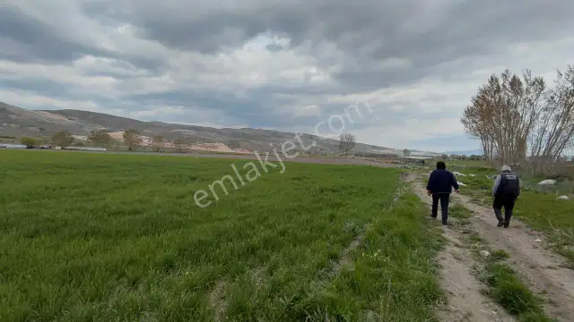 Şaka Değil Bu Bölgede 104 Dönüm Bu Fiyata — görsel 12