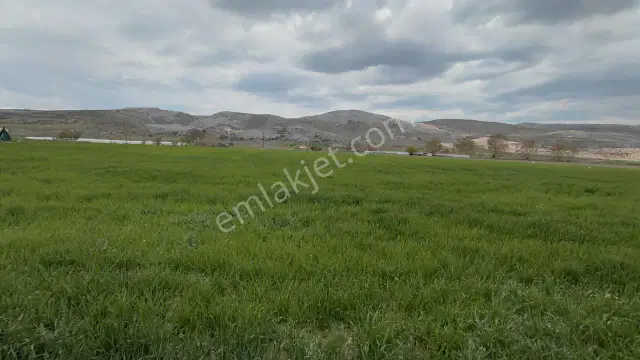 Şaka Değil Bu Bölgede 104 Dönüm Bu Fiyata — görsel 13