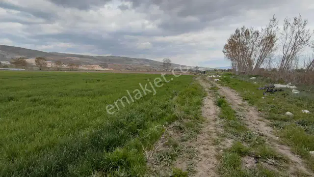Şaka Değil Bu Bölgede 104 Dönüm Bu Fiyata — görsel 14