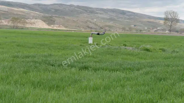 Şaka Değil Bu Bölgede 104 Dönüm Bu Fiyata — görsel 15