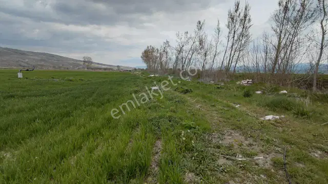 Şaka Değil Bu Bölgede 104 Dönüm Bu Fiyata — görsel 16