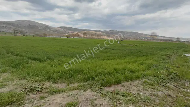 Şaka Değil Bu Bölgede 104 Dönüm Bu Fiyata — görsel 17