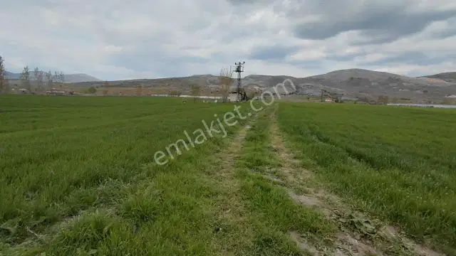 Şaka Değil Bu Bölgede 104 Dönüm Bu Fiyata — görsel 18