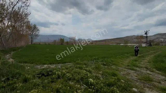 Şaka Değil Bu Bölgede 104 Dönüm Bu Fiyata — görsel 19