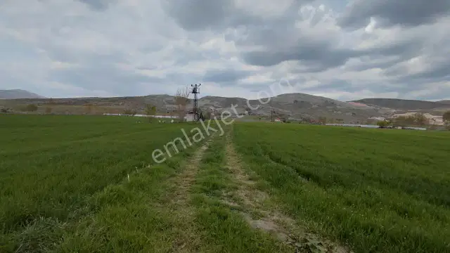 Şaka Değil Bu Bölgede 104 Dönüm Bu Fiyata — görsel 20