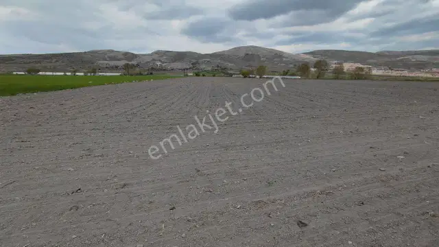 Şaka Değil Bu Bölgede 104 Dönüm Bu Fiyata — görsel 22