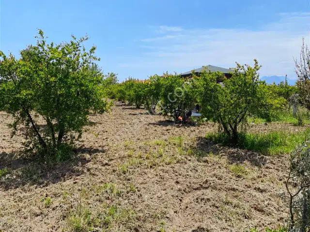 Yeniköy Kırkköz 625 M2 Müstakil Tapu — görsel 5
