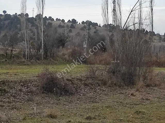 Yasemin Dönmez'den Burdur Yeşilova'da Satılık Tarla — görsel 3