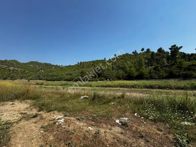 Manavgat Köprüçaya Cephe Satılık 3.525 M2 Tarla — görsel 6