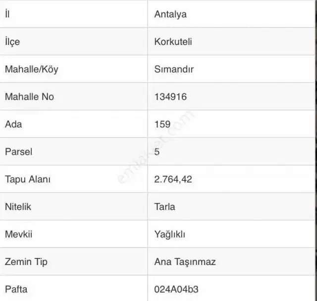 Ender Kortan'dan Korkuteli Sımandır'da Tarla — görsel 5