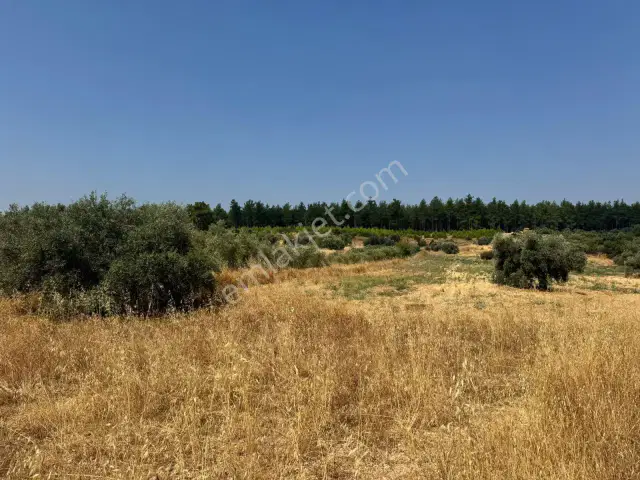Antalya Kurşunlu'da Asat Su Aboneli Yatırımlık Tarla — görsel 3
