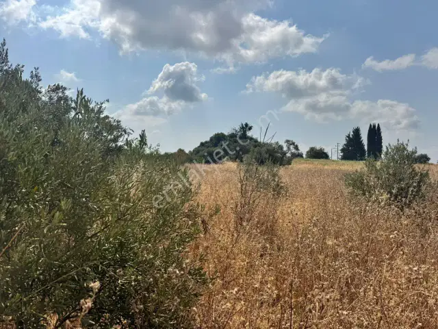 Antalya Kurşunlu'da Asat Su Aboneli Yatırımlık Tarla — görsel 4