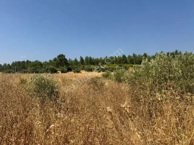 Antalya Kurşunlu'da Asat Su Aboneli Yatırımlık Tarla — görsel 5