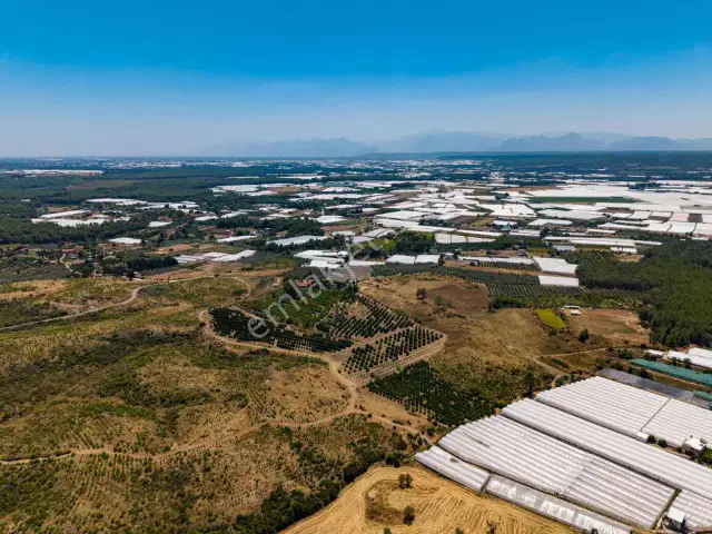 Aksu Kurşunluda 32.826 M² Bakımlı Portakal Bahçesi 1.200 Ağaçlı — görsel 10