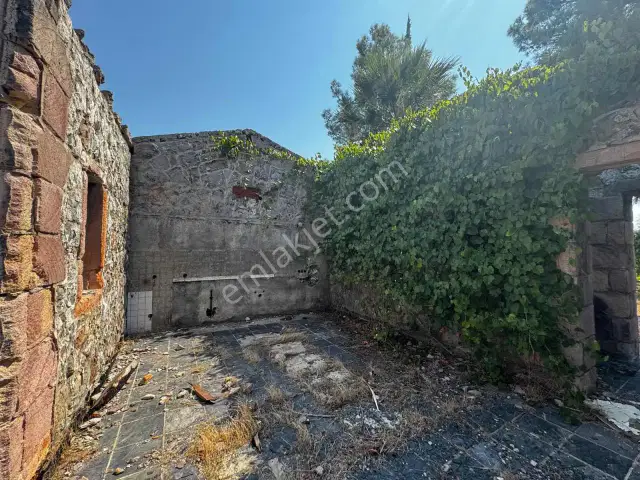 Aksu Kurşunluda 32.826 M² Bakımlı Portakal Bahçesi 1.200 Ağaçlı — görsel 18