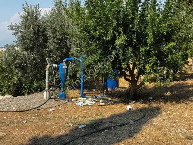 Aksu Kurşunluda 32.826 M² Bakımlı Portakal Bahçesi 1.200 Ağaçlı — görsel 20