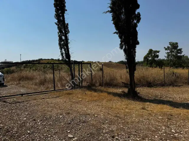 Aksu Kurşunluda 32.826 M² Bakımlı Portakal Bahçesi 1.200 Ağaçlı — görsel 22