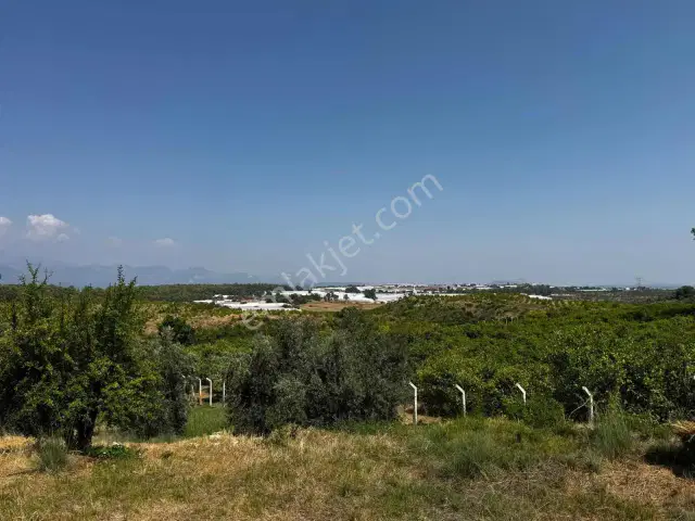 Aksu Kurşunluda 32.826 M² Bakımlı Portakal Bahçesi 1.200 Ağaçlı — görsel 26