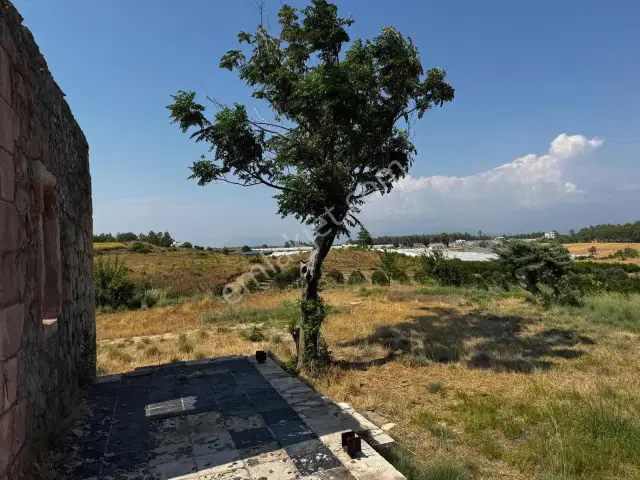 Aksu Kurşunluda 32.826 M² Bakımlı Portakal Bahçesi 1.200 Ağaçlı — görsel 27