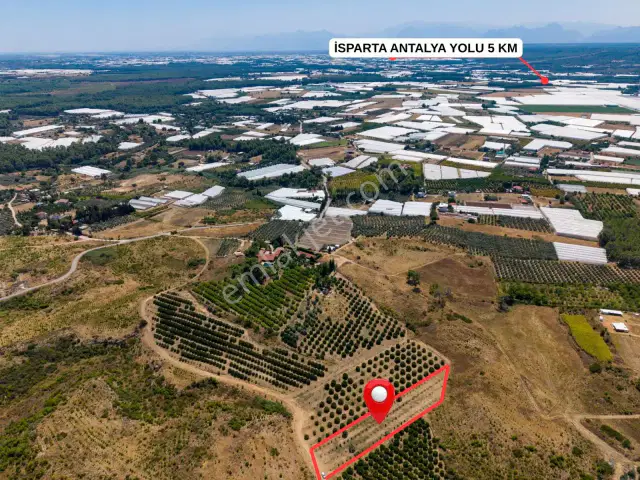 Aksu Kurşunlu 3006 M2 Satılık Müstakil Bahçe — görsel 2